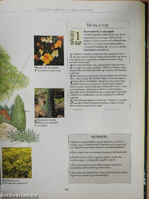 A hétvégi kertész