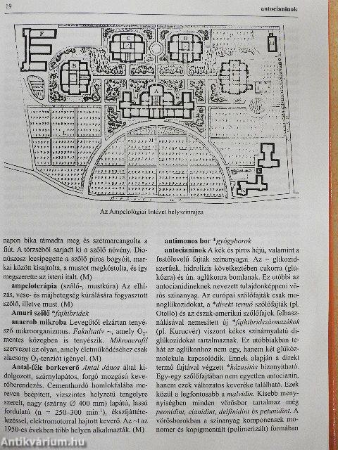 Borászati kislexikon