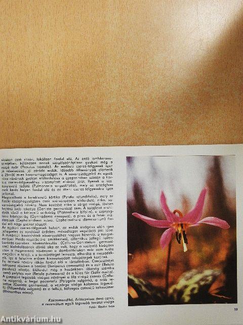 Aggteleki tájvédelmi körzet bioszféra rezervátum