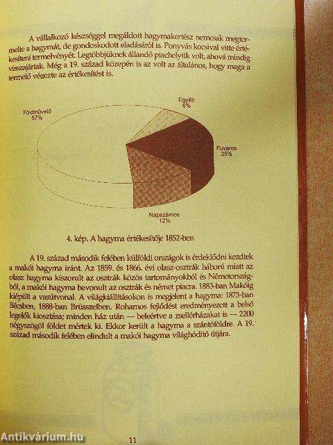 A makói hagyma múltja, jelene és jövője