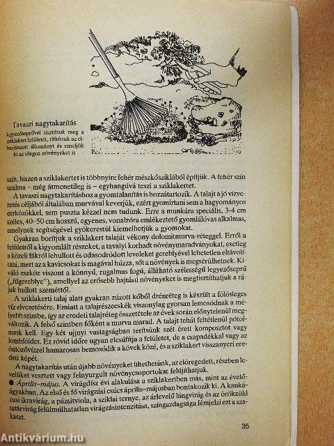 Kerti virágaink gondozása