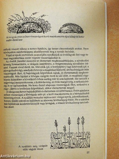 Kerti virágaink gondozása