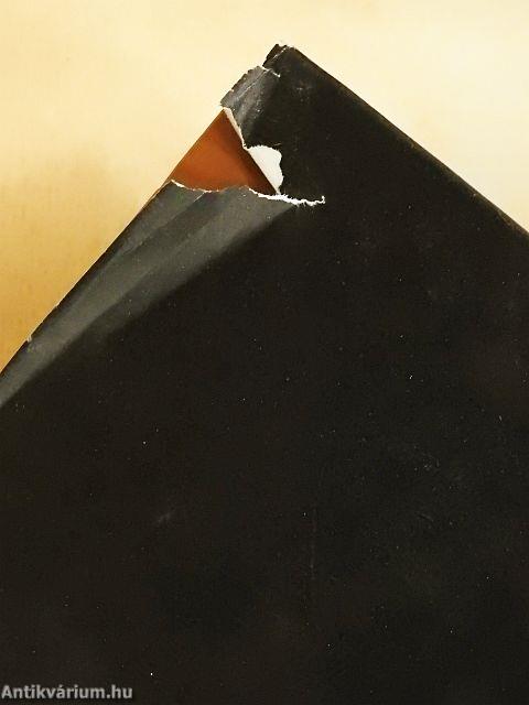 Romániai magyar irodalmi lexikon 1-5/1-2.