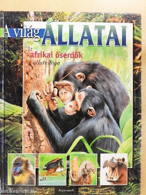 Az afrikai őserdők állatvilága