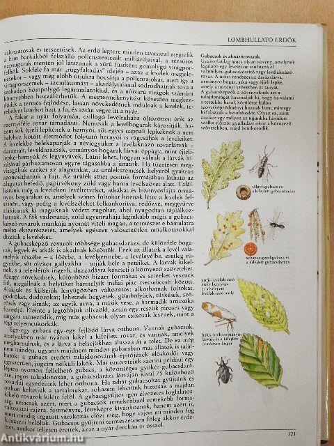 Az amatőr természetbúvár