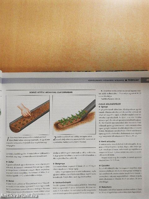 Kertészkedés hónapról hónapra