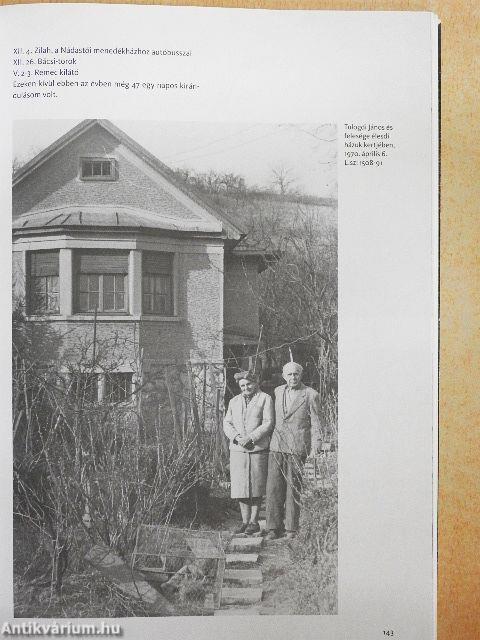 Földrajzi Múzeumi Tanulmányok 19.