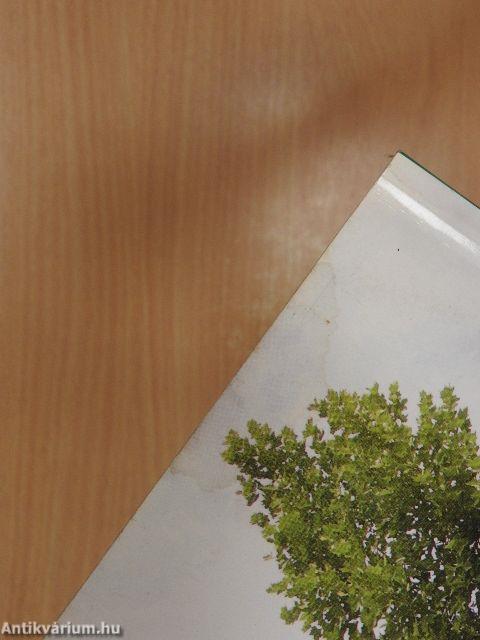 Prenor Kertészeti és Parképítő Kft. díszfaiskolai árjegyzék 2006. ősz-2007. tavasz