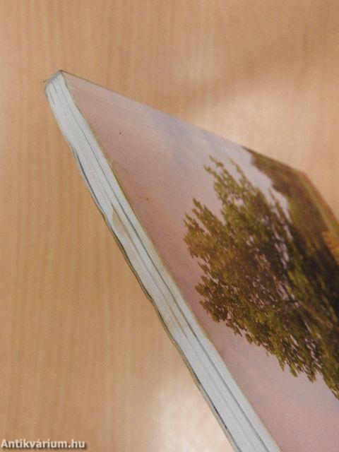 Prenor Kertészeti és Parképítő Kft. díszfaiskolai árjegyzék 2006. ősz-2007. tavasz