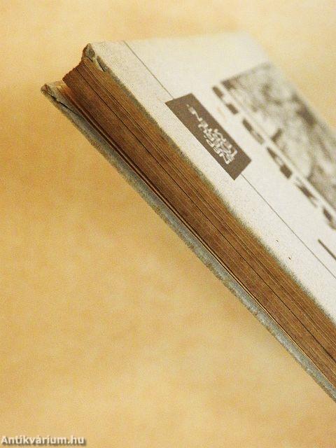 Hitler-puccs a sörházban