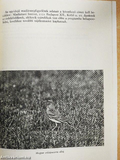 Múzeumi Híradó 1975/2.