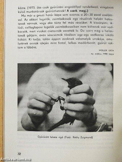 Múzeumi Híradó 1977/8.