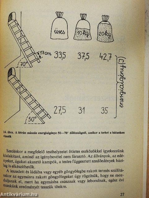 Gyógyító munka a biokertben