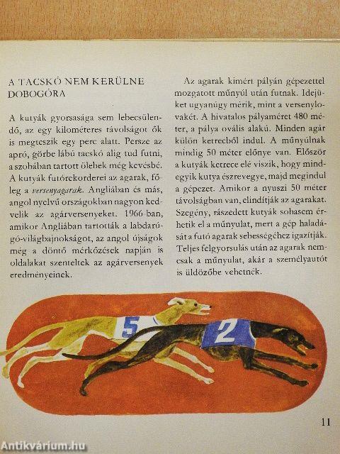 Gyorsan, gyorsabban, még gyorsabban