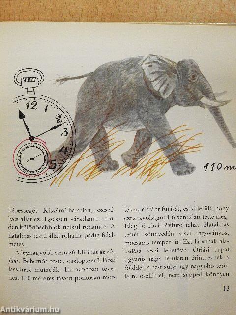 Gyorsan, gyorsabban, még gyorsabban