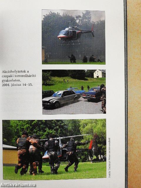 Meglátni és megveretni