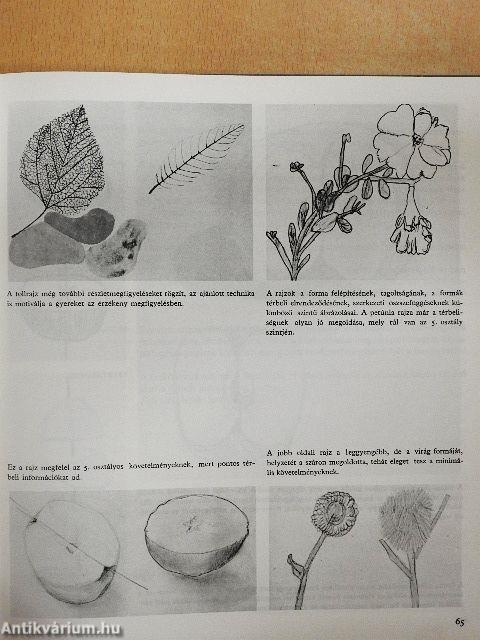 Művészeti vizuális nevelés