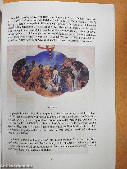 Répcevis története