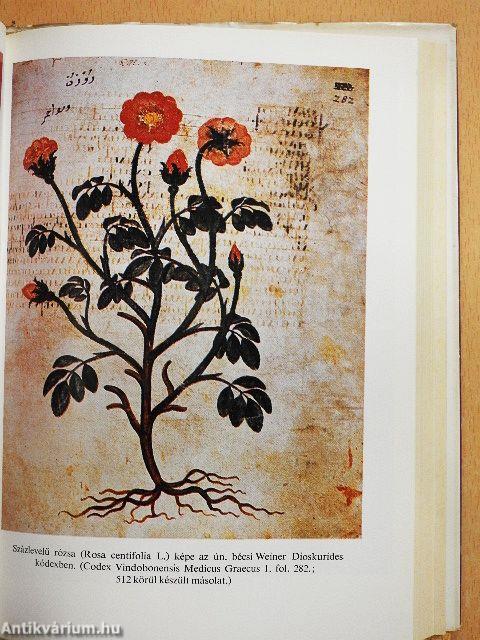 Antik természettudomány