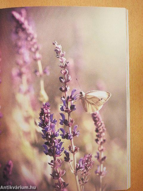 Mon Coach bien-étre