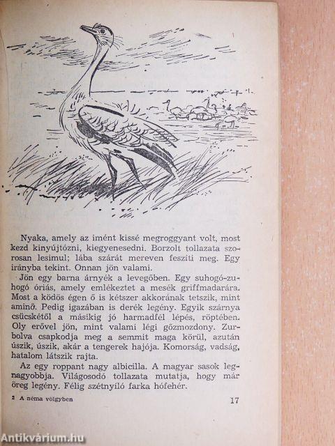 A néma völgyben