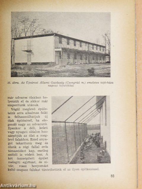 A baromfi tenyésztése