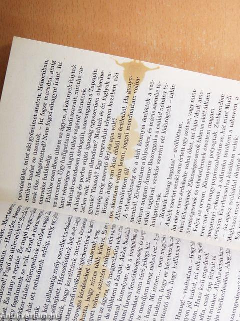 Lányom nélkül soha