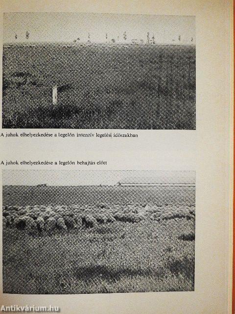 A juh takarmányozása