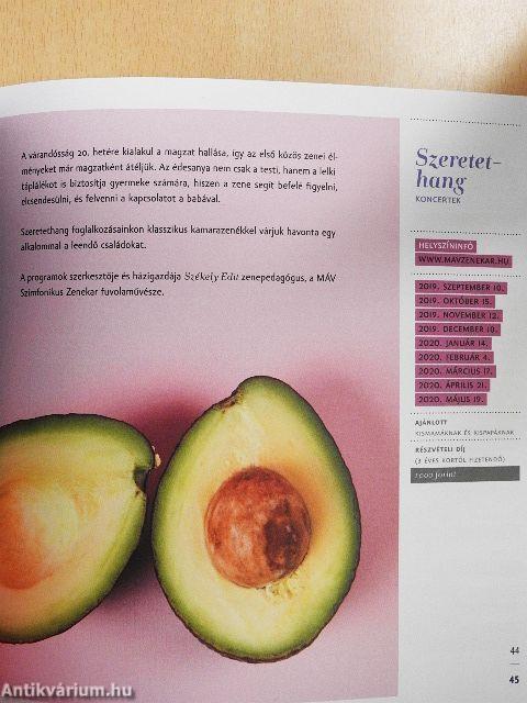 MÁV Szimfonikus Zenekar - Évadfüzet 19/20