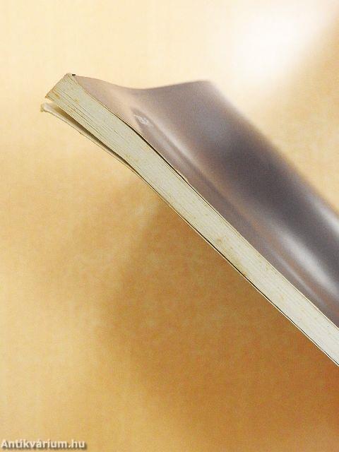 Munkafüzet a kettős könyvvitel tanulásához 1.