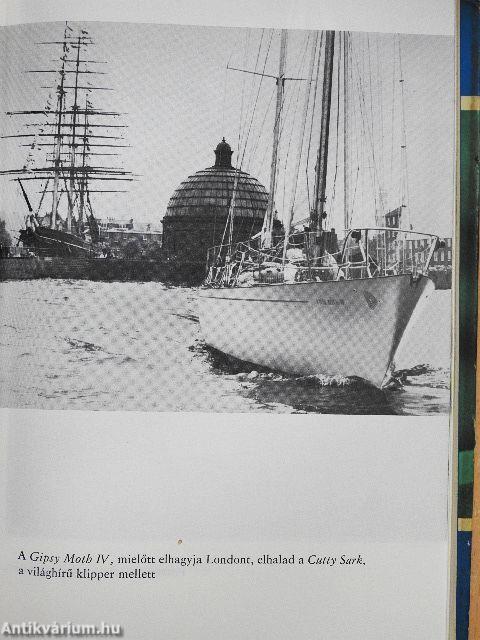 Gipsy Moth