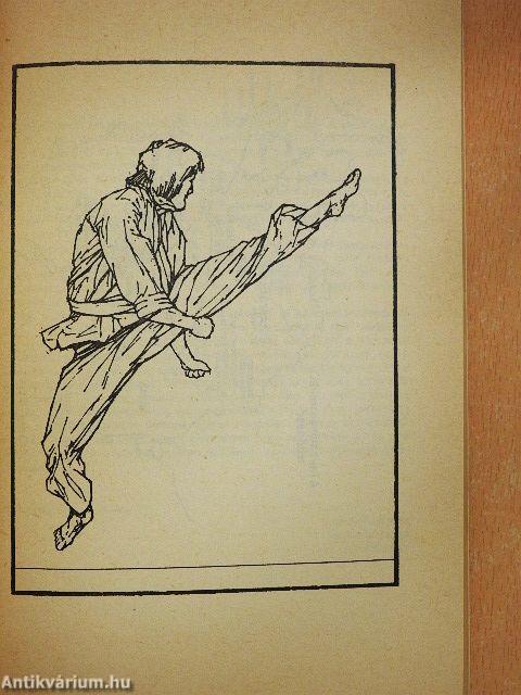 Japán és kínai harcművészetek kislexikona