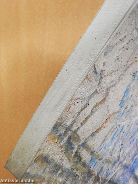 Mednyánszky László feljegyzései