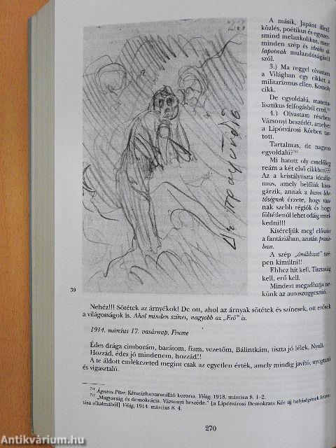 Mednyánszky László feljegyzései