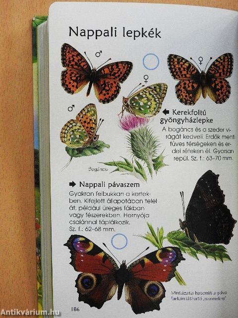 Spotter's Guide Természetbarátok zsebkönyve
