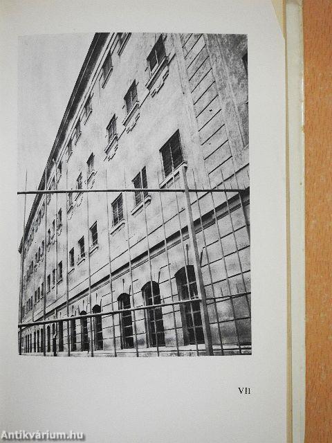 Mire az erdők kizöldülnek