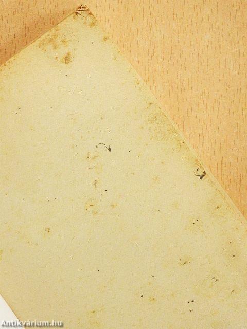 Les enfants du nouveau monde