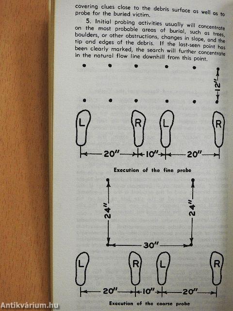 The ABC of Avalanche Safety