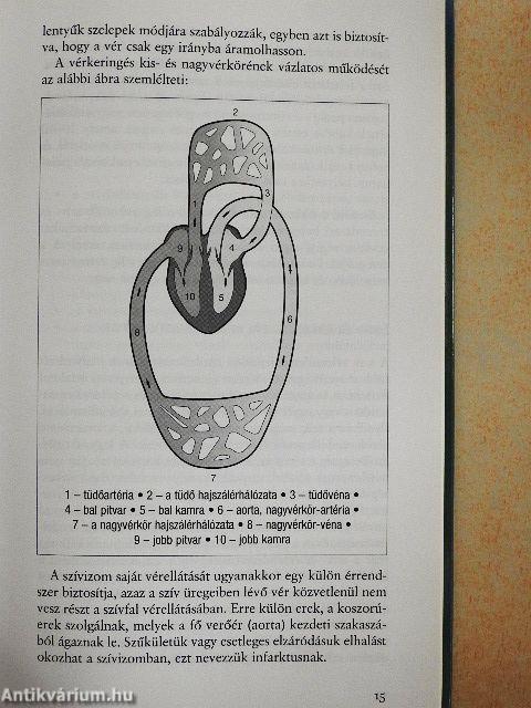 Népbetegségek megelőzése és szelíd gyógymódjai 2.