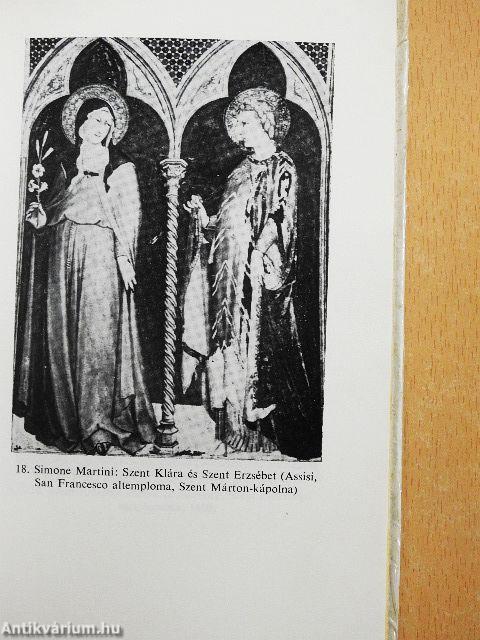 Árpád-házi Szent Erzsébet