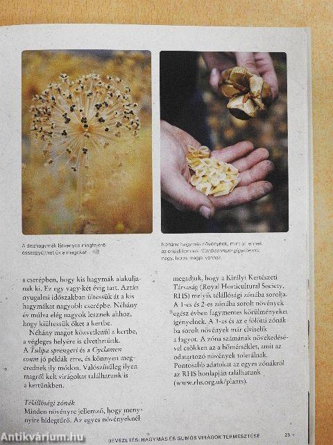 Hagymás és gumós dísznövények