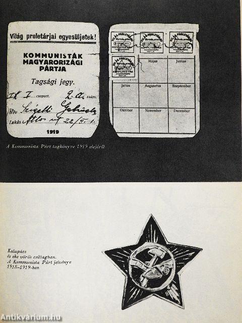 A magyar forradalmi munkásmozgalom története