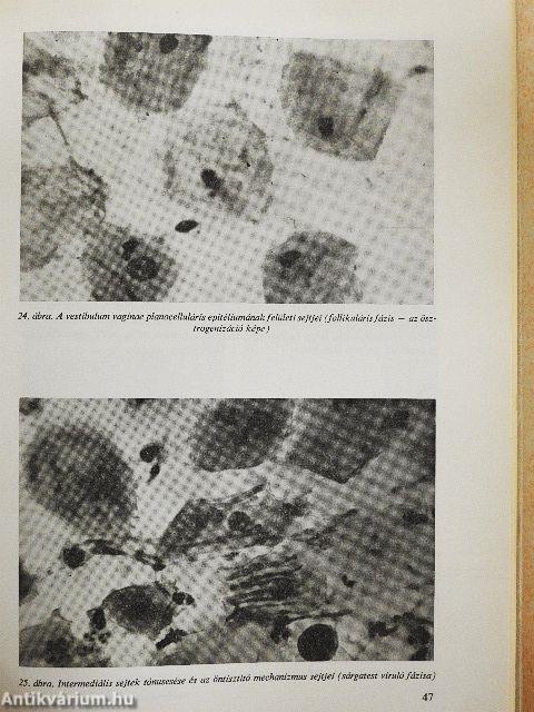 Tanulmányok a haszonállatok szaporításáról