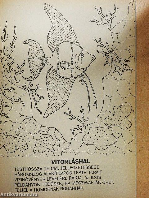 Földünk élővilága - Vízi állatok 2.