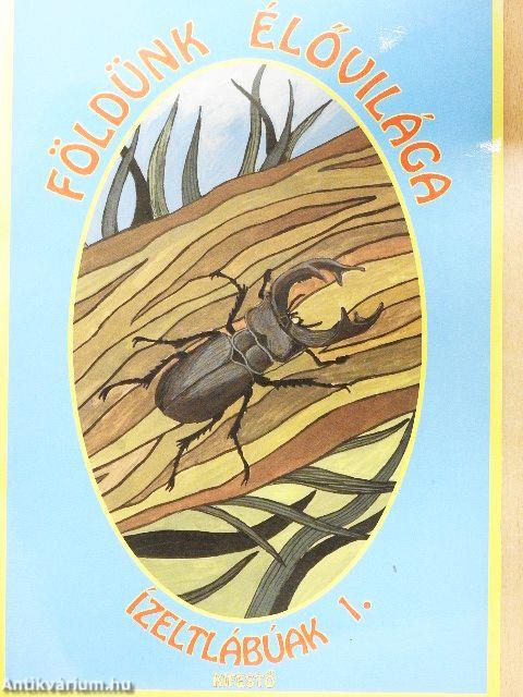 Földünk élővilága - Ízeltlábúak 1.