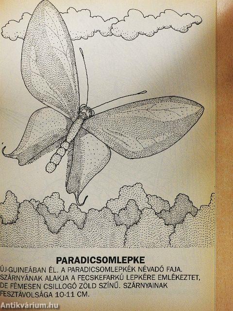 Földünk élővilága - Ízeltlábúak 1.