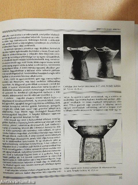 A Tisza-vidék késői neolitikuma