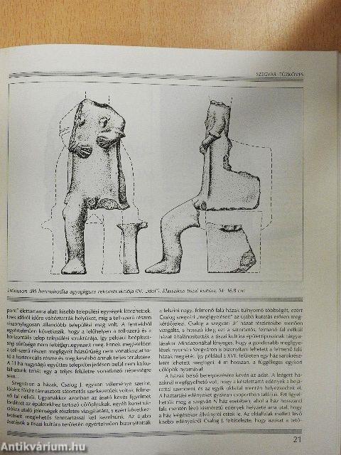 A Tisza-vidék késői neolitikuma