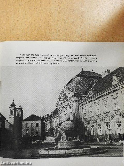 Az 1000 éves Székesfehérvár