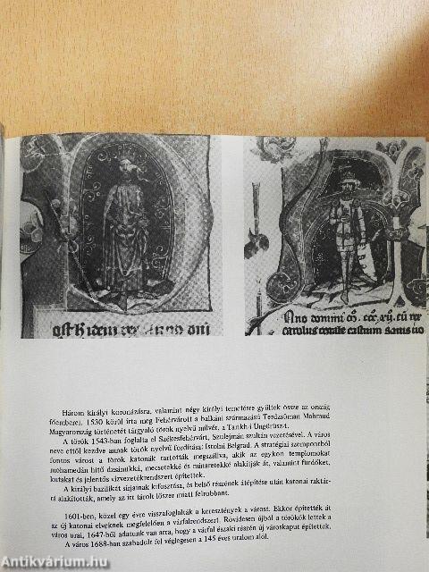 Az 1000 éves Székesfehérvár